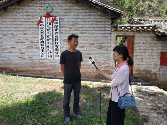 贵州中蜂养殖吧
